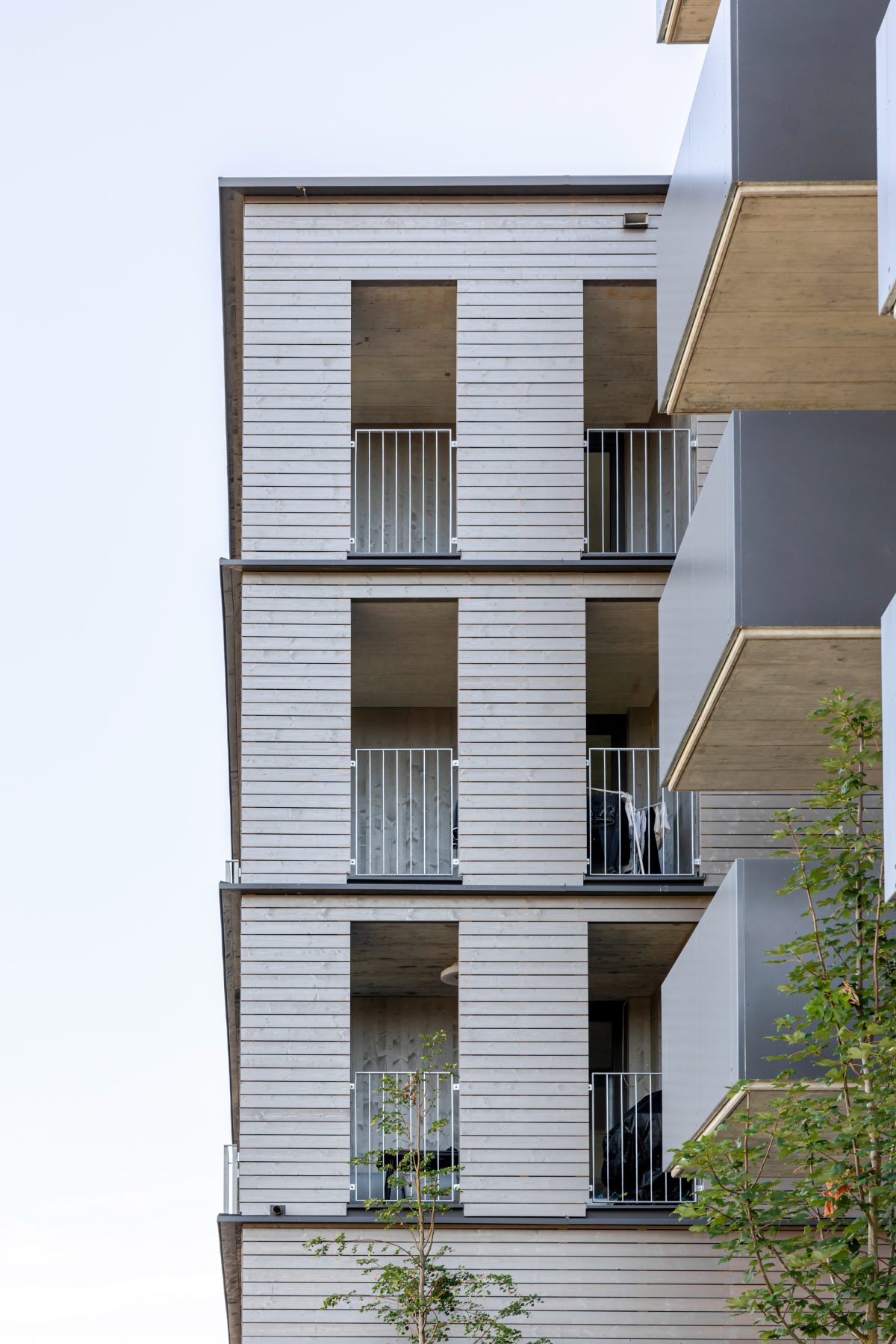 Holzfassade eines RIVA Wohnbaus mit gleichmäßig wiederkehrenden Loggien